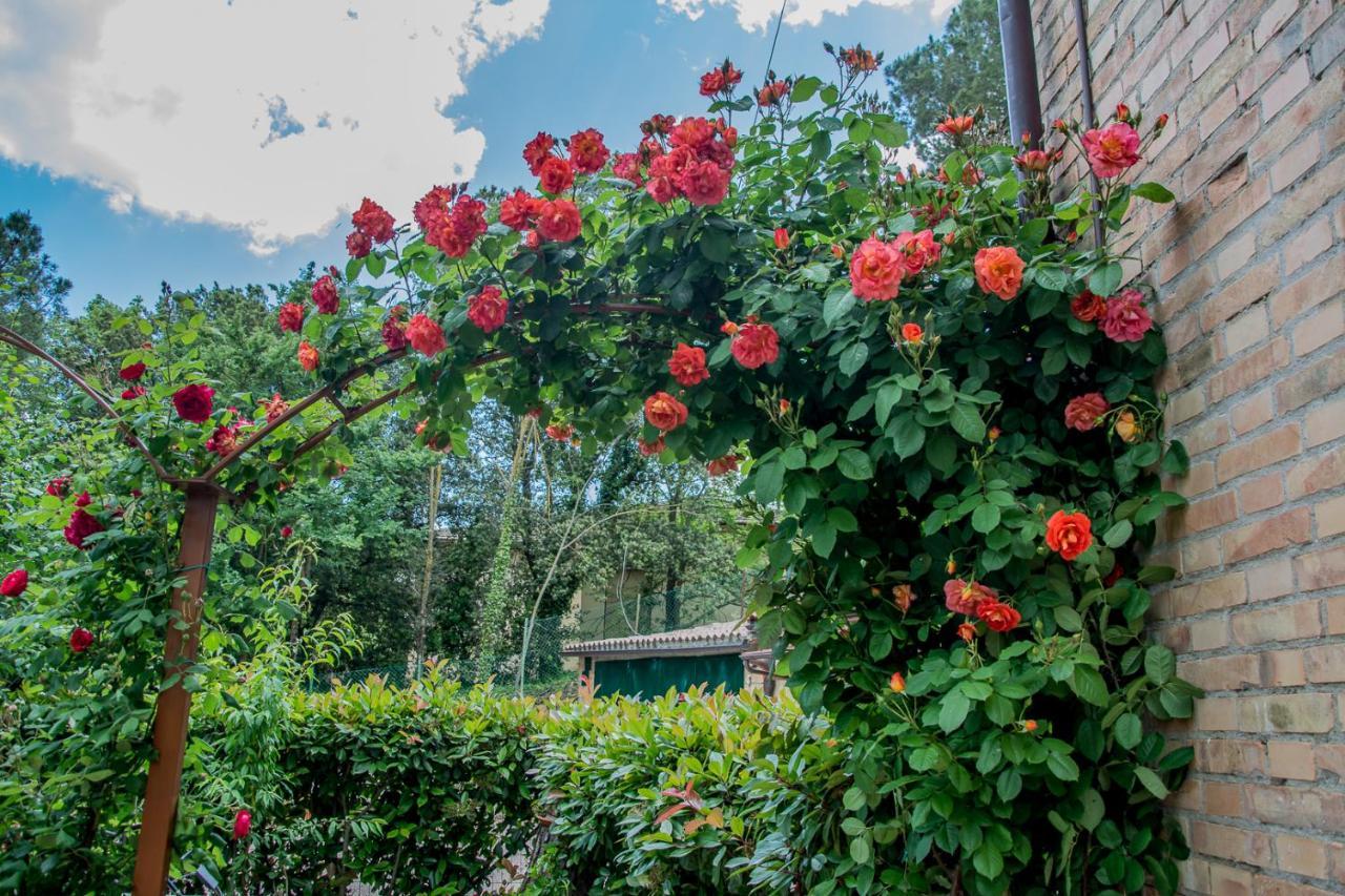 I Due Cipressi Guest House Torrenieri ภายนอก รูปภาพ